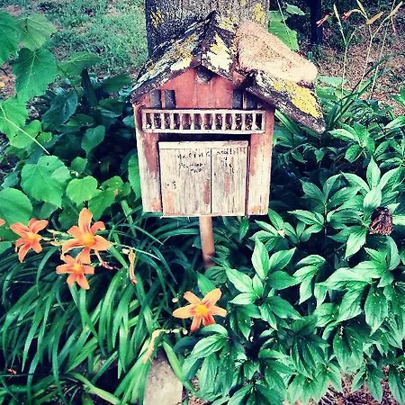 Bed & Breakfast Magalu