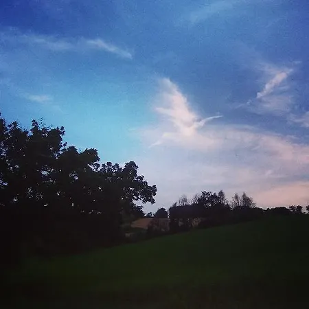 Magalu *