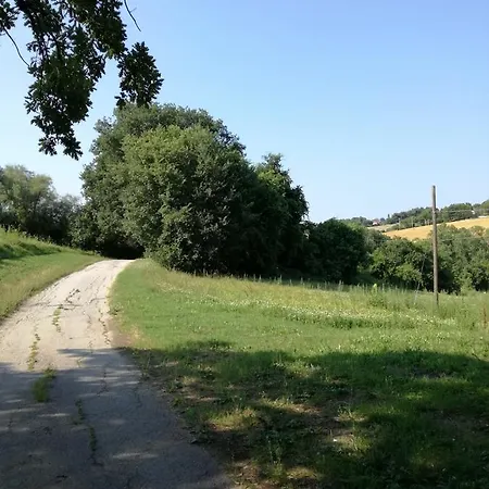 Magalu * Senigallia