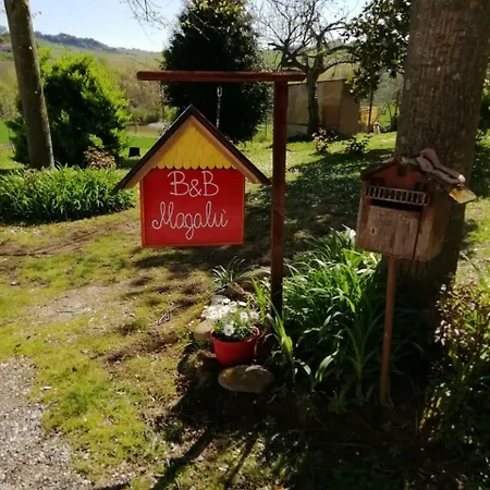 Bed & Breakfast Magalu Senigallia
