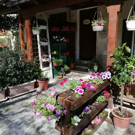 Magalù