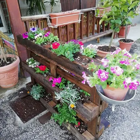 Magalu * Senigallia